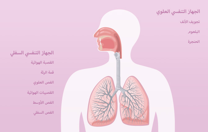 الجهازان التنفسي العلوي والسفلي